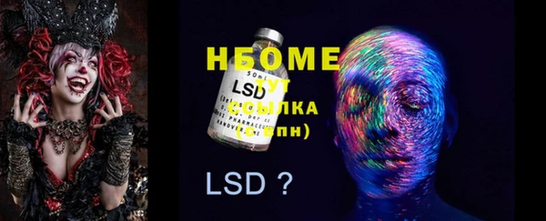 индика Ладушкин