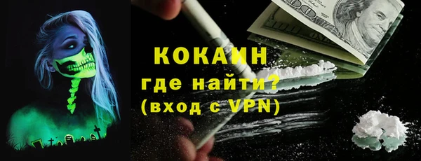 индика Ладушкин