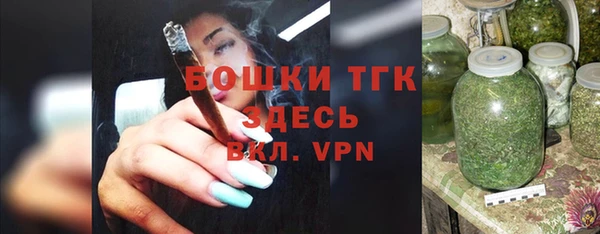 индика Ладушкин
