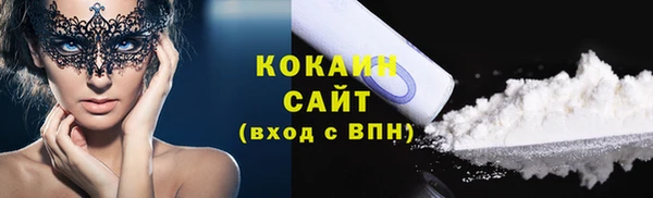 индика Ладушкин