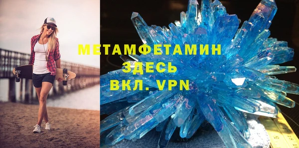 индика Ладушкин