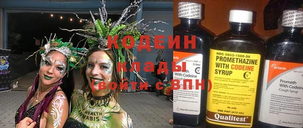 индика Ладушкин