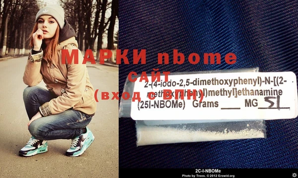 индика Ладушкин