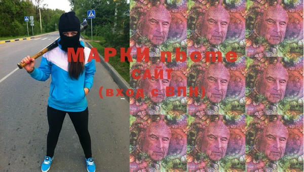 индика Ладушкин