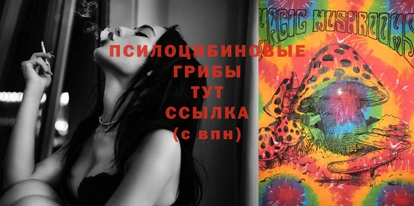 индика Ладушкин