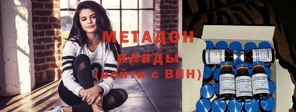индика Ладушкин
