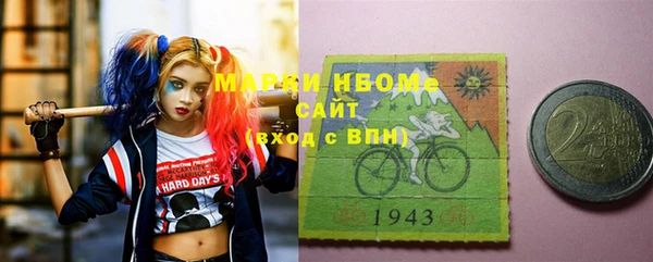 индика Ладушкин