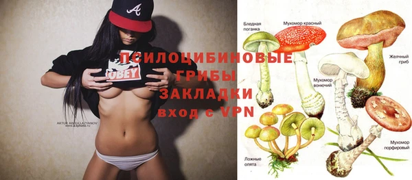соль курить ск Лабытнанги