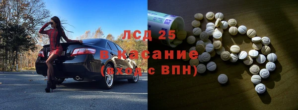 индика Ладушкин