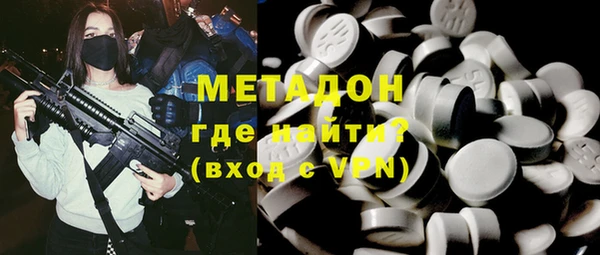 индика Ладушкин